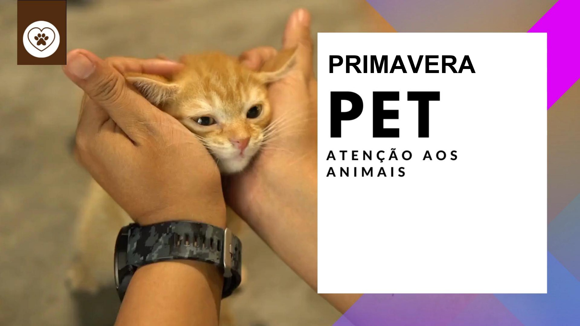PRIMAVERA PET